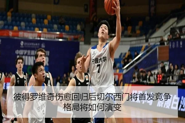 彼得罗维奇伤愈回归后切尔西门将首发竞争格局将如何演变